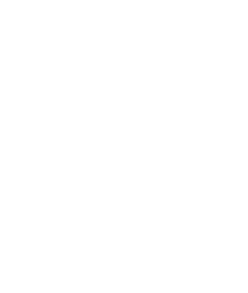 Asset